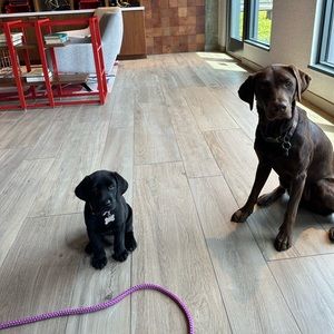 Meet your Posher, Alissa